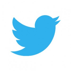 Logo_twitter_-_img5_webchronique